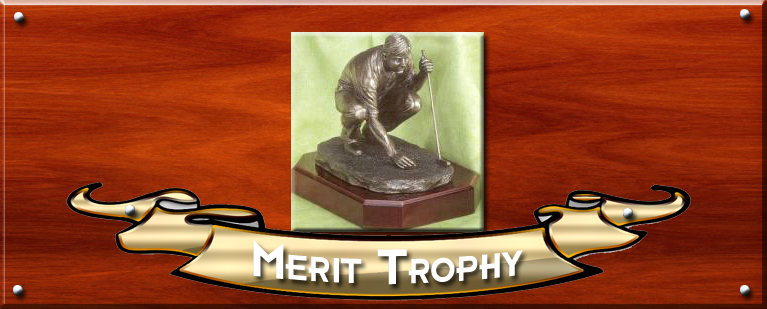 merit--red